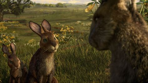 Wer kennt den genialen Film Watership Down – ein Meisterwerk der Animation und der Tierphilosophie?